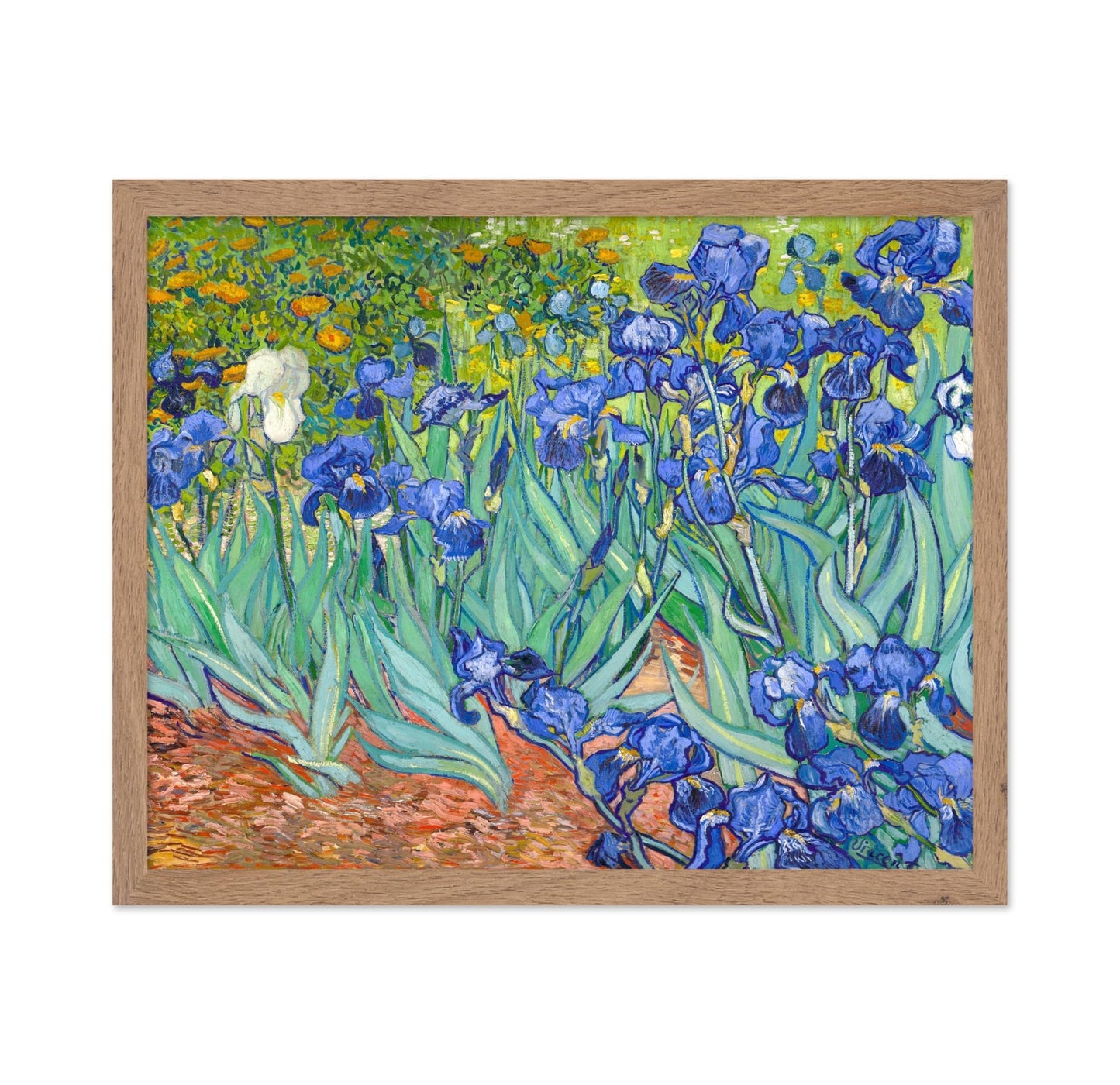 Van Gogh - Irises No1
