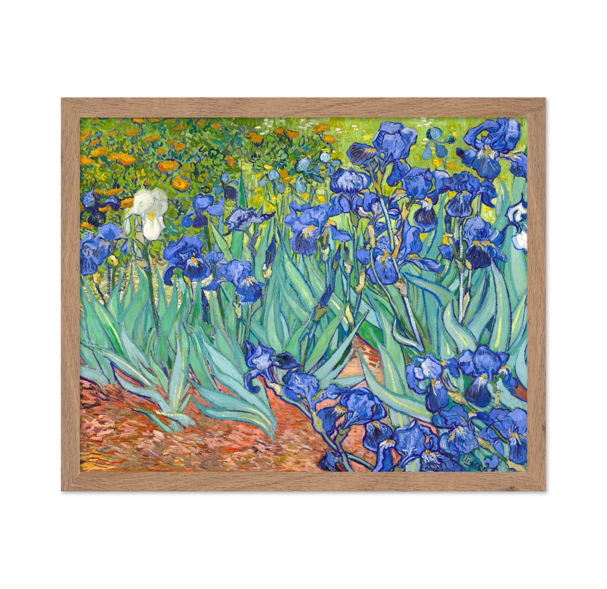Van Gogh - Irises No1
