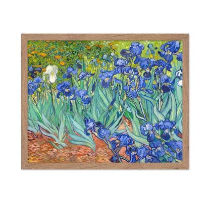 Van Gogh - Irises No1