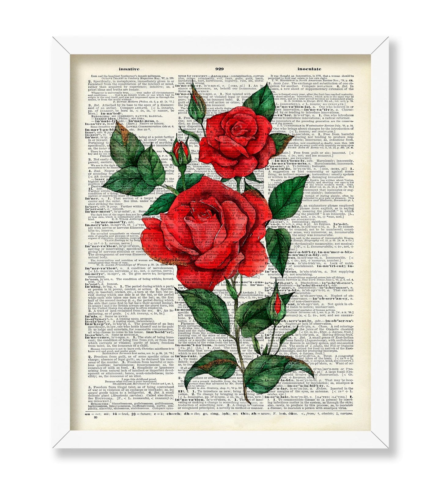 Red Rose