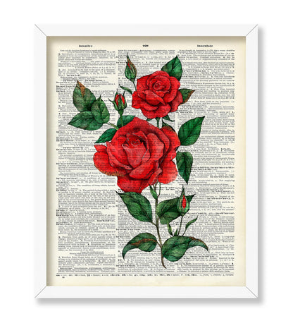 Red Rose