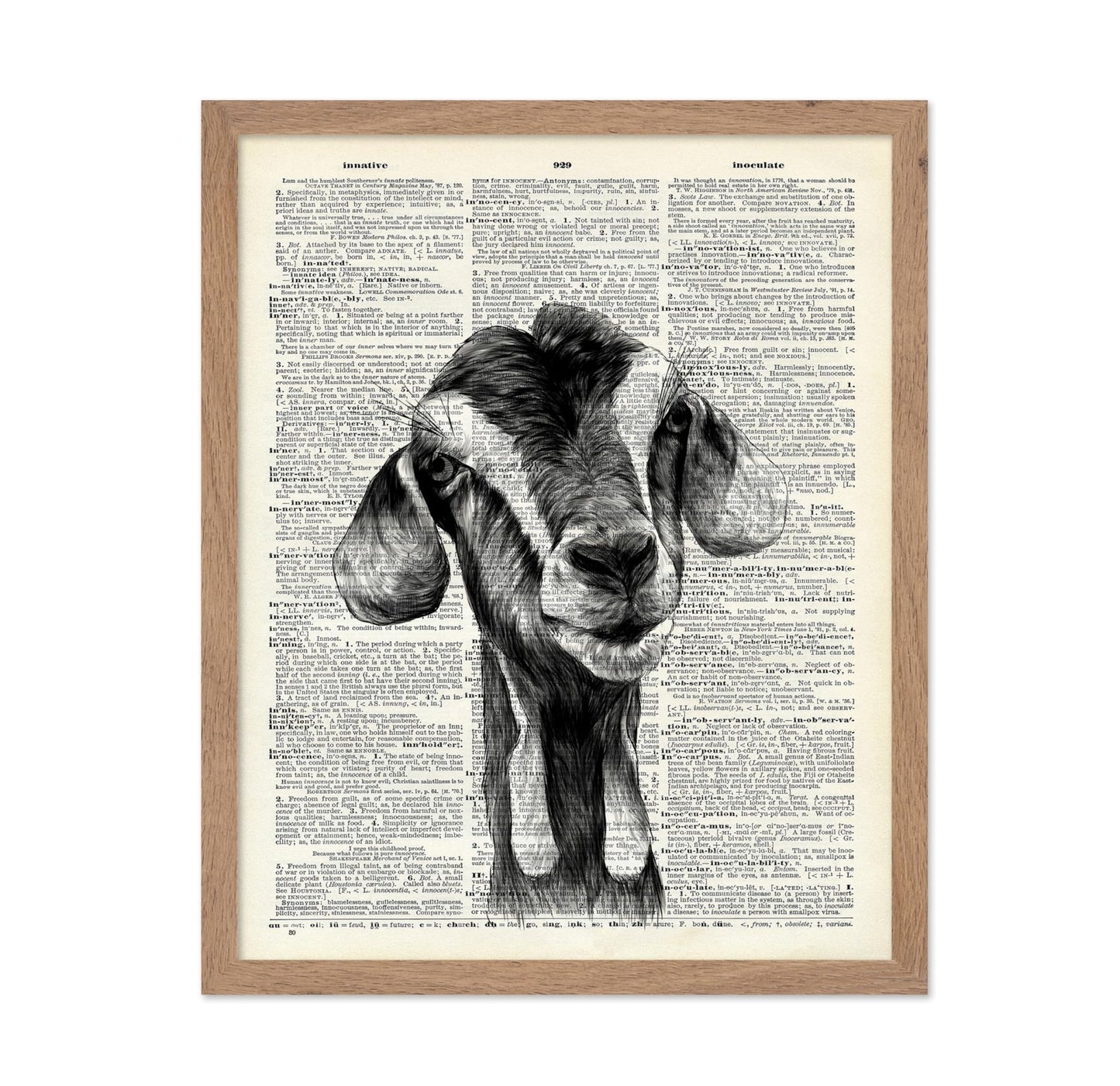 Goat Portrait