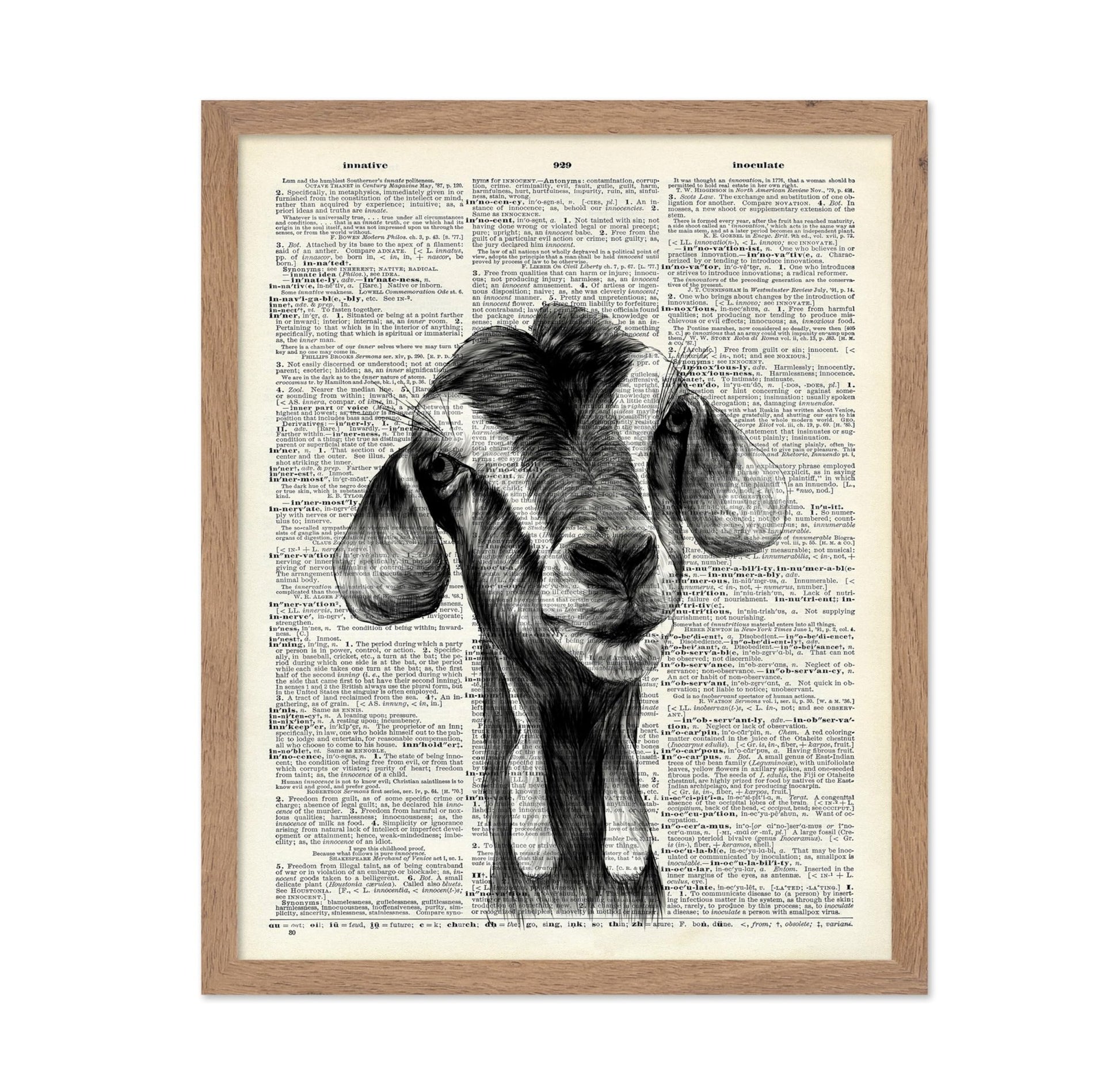 Goat Portrait