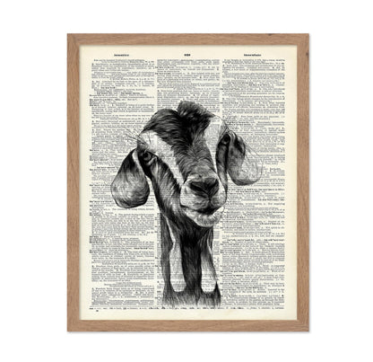 Goat Portrait