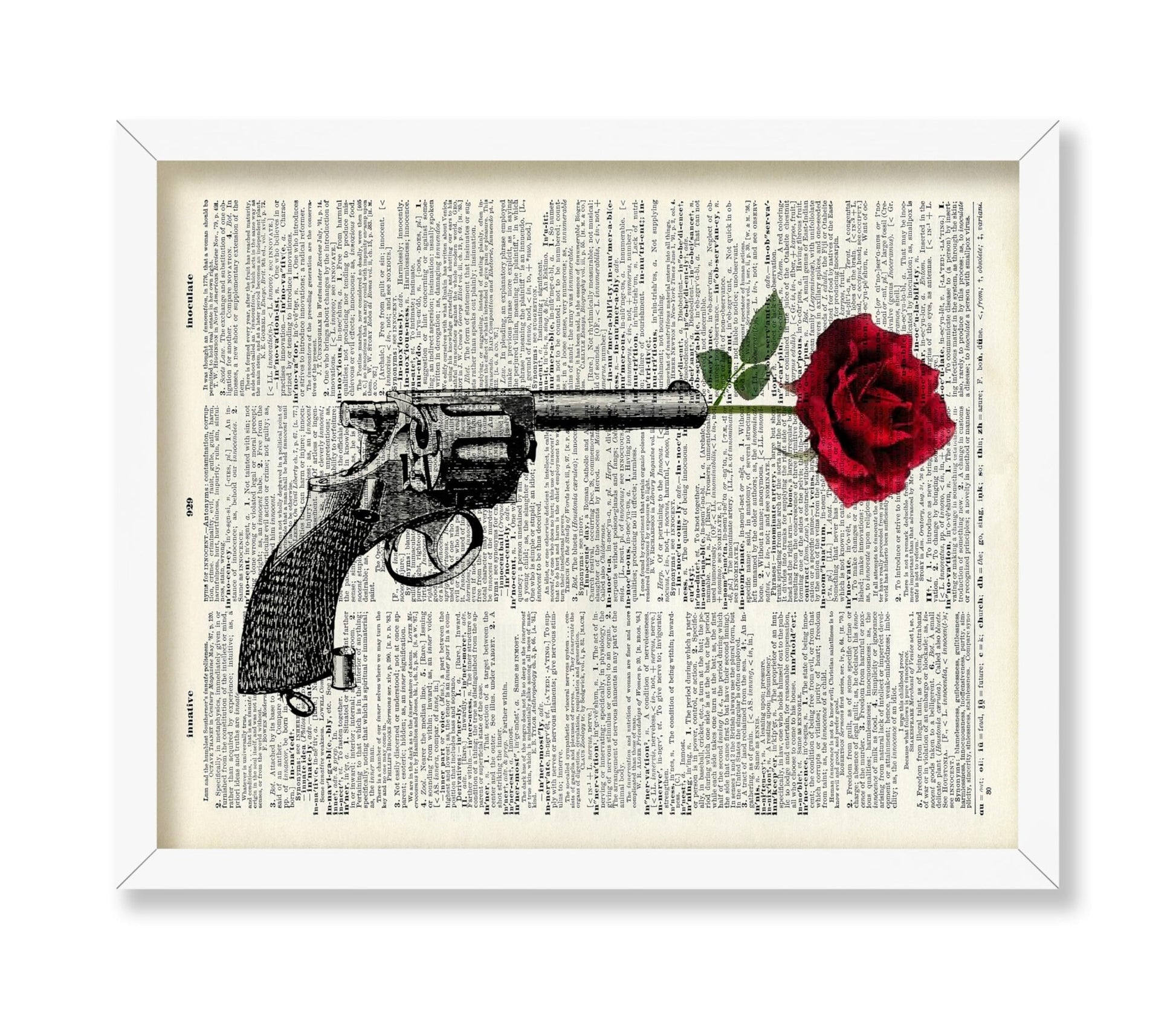 Rose in Pistol