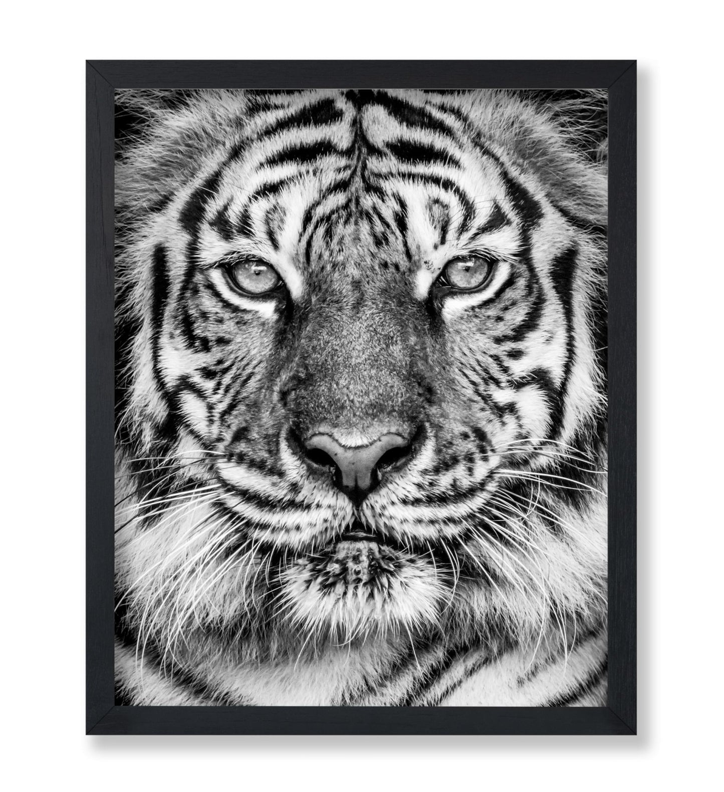 Tiger No2
