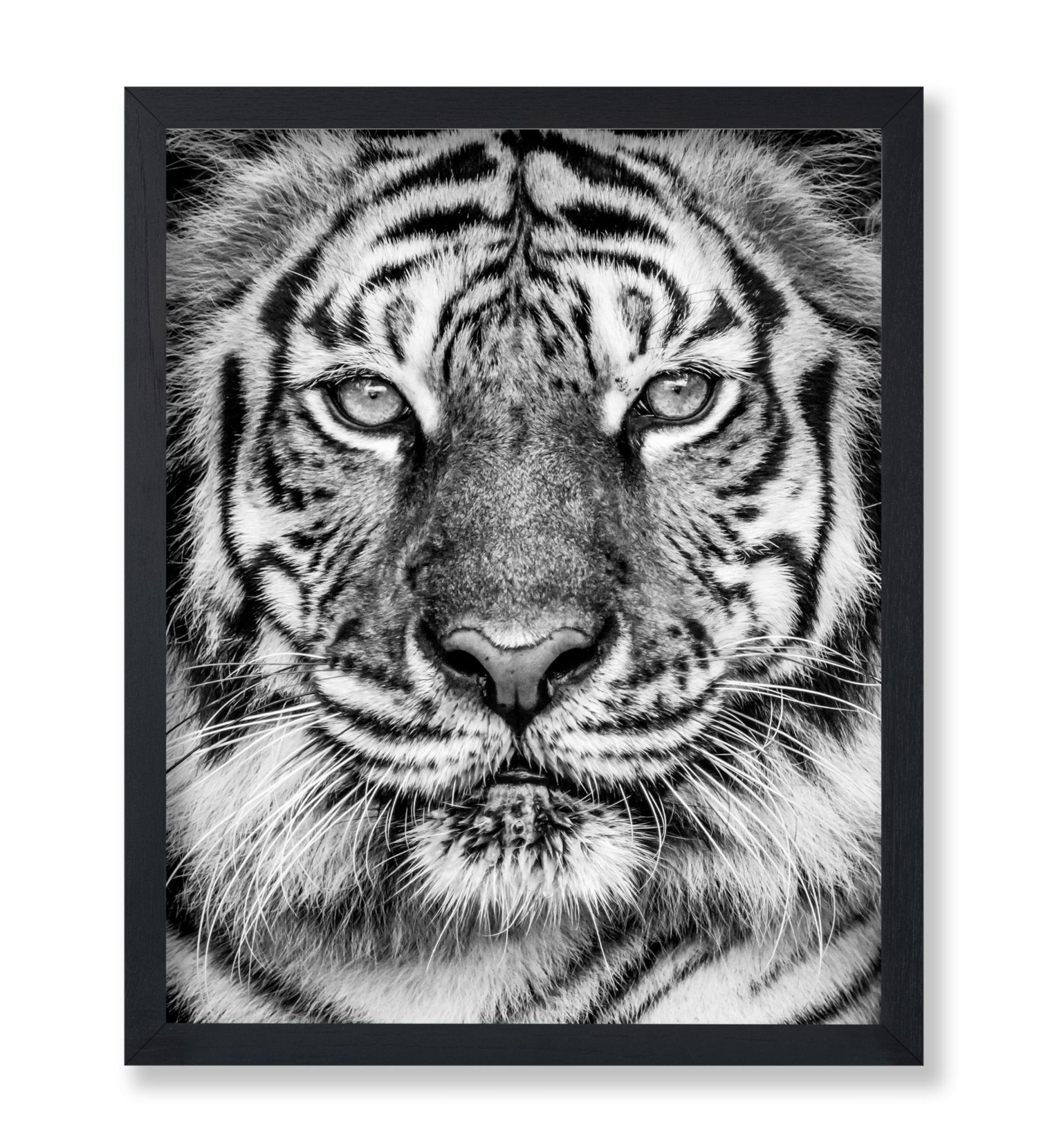 Tiger No2
