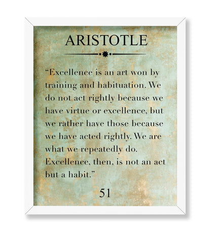 Aristotle Excellence