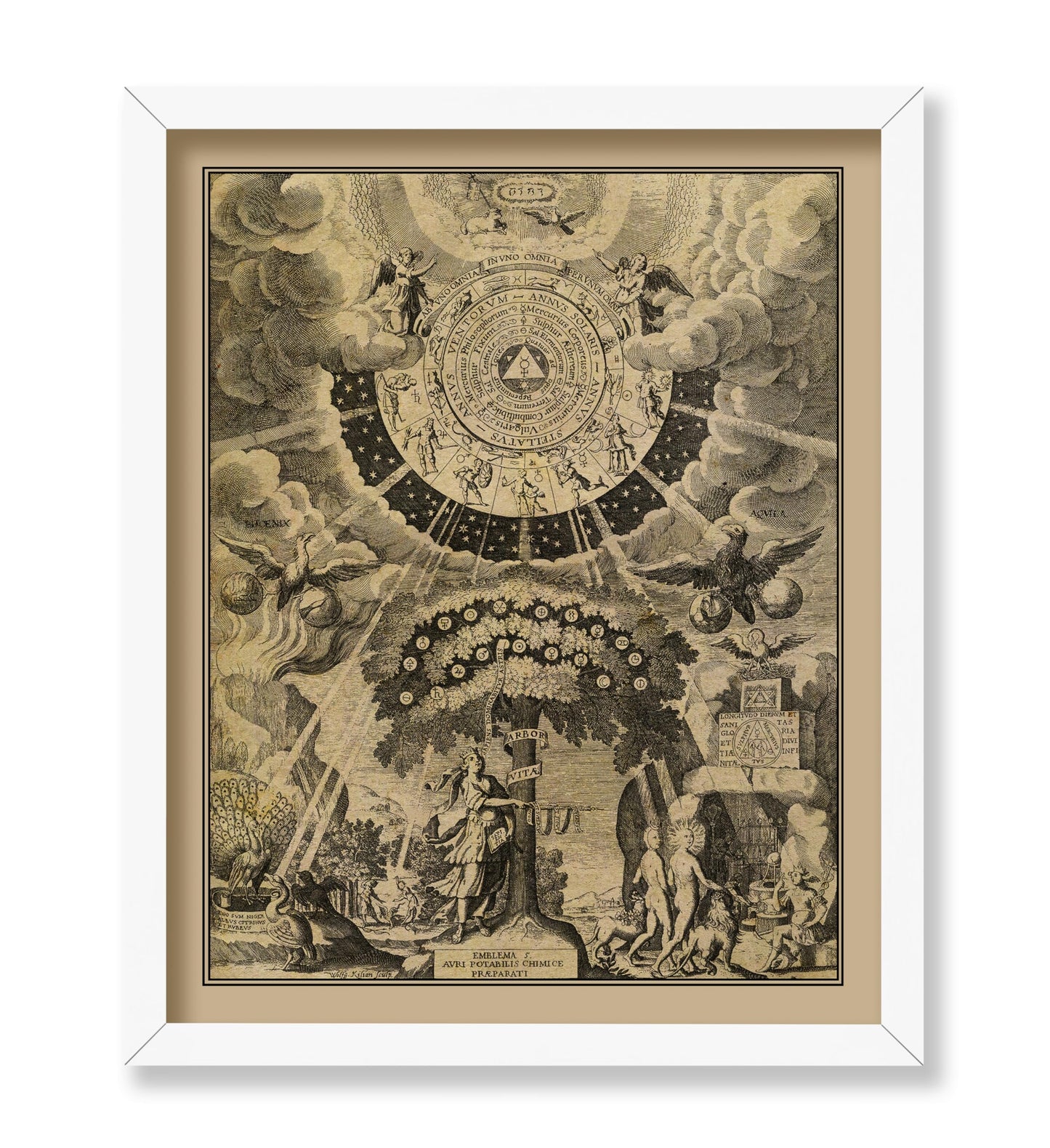 The Alchemical Tree of Life