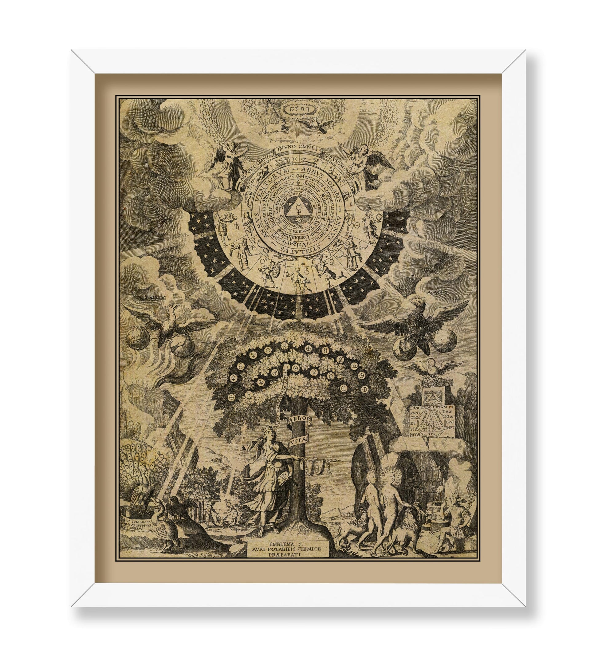 The Alchemical Tree of Life