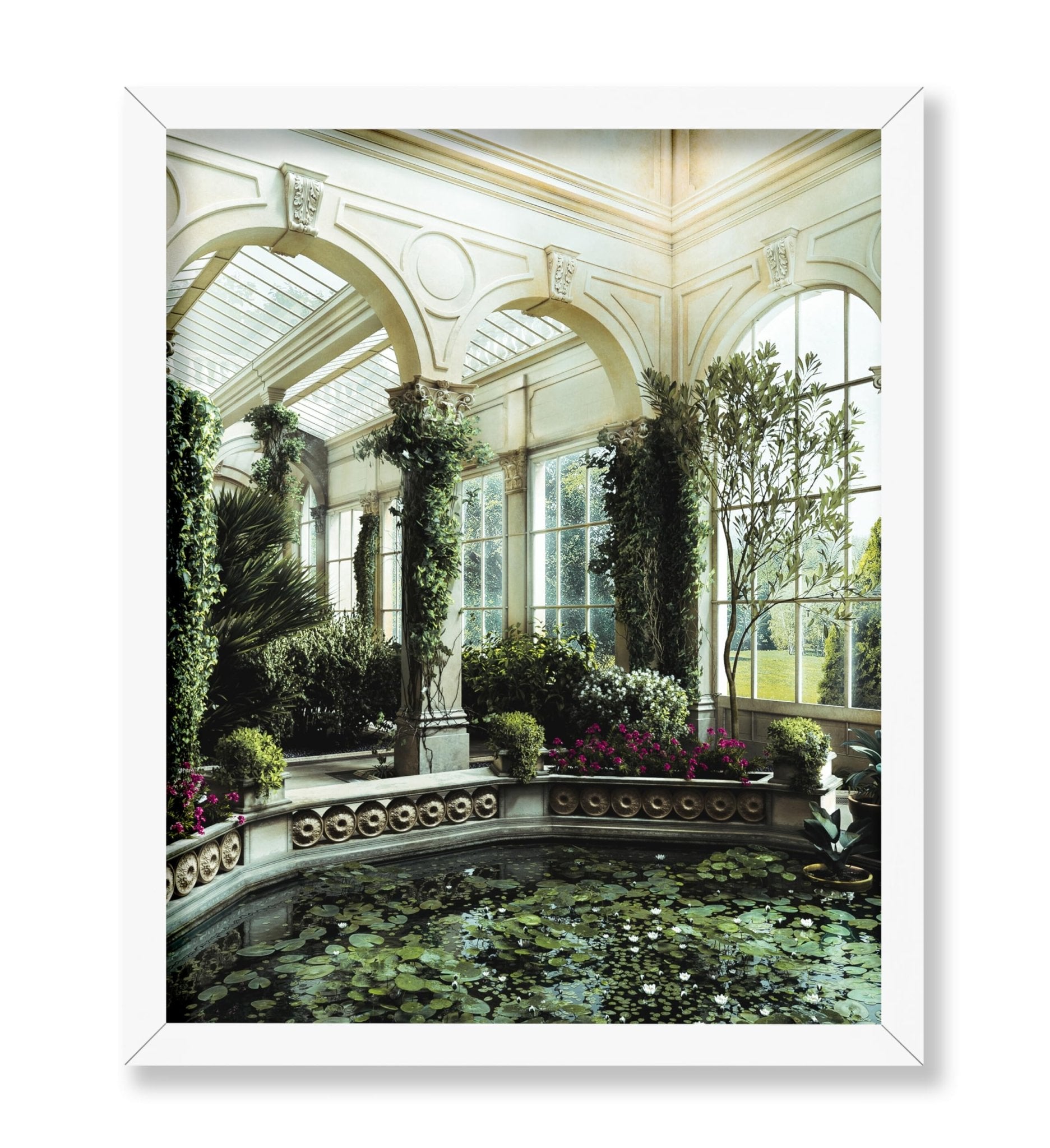 Water Lily Pond