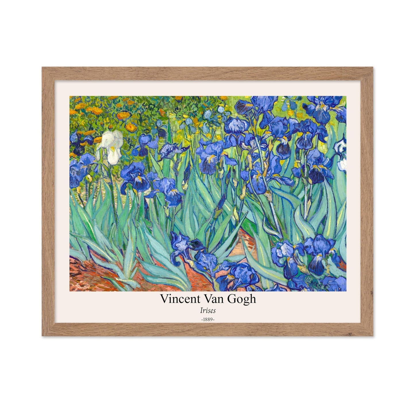 Van Gogh - Irises No2