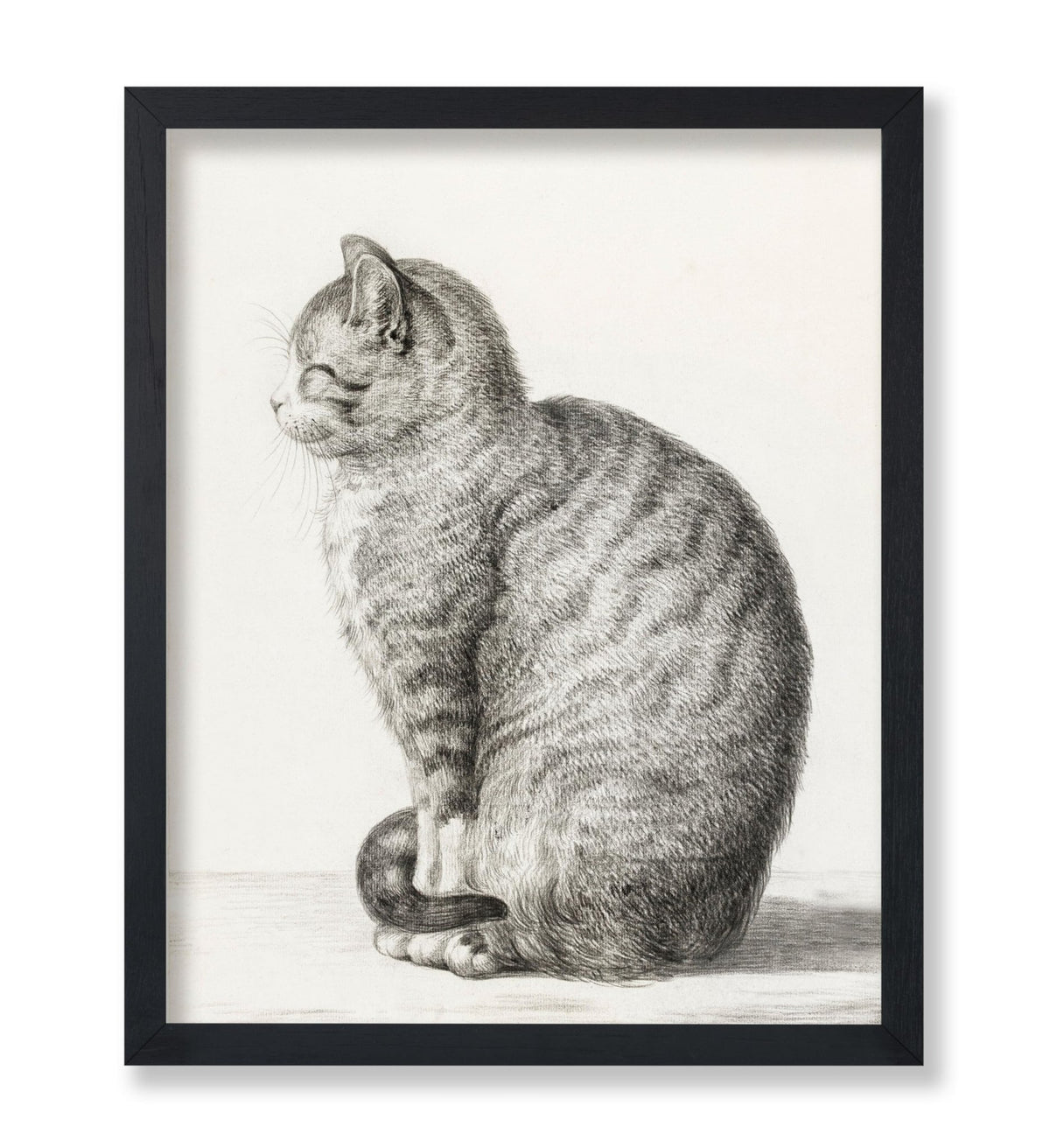 Jean Bernard - Sitting Cat, Facing Left