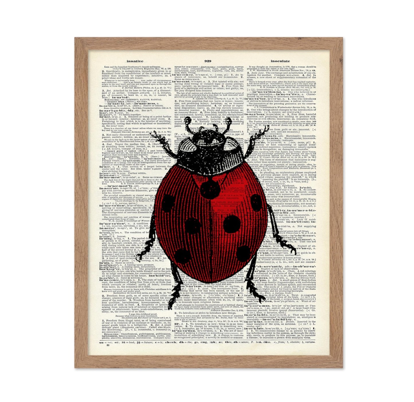 Ladybug