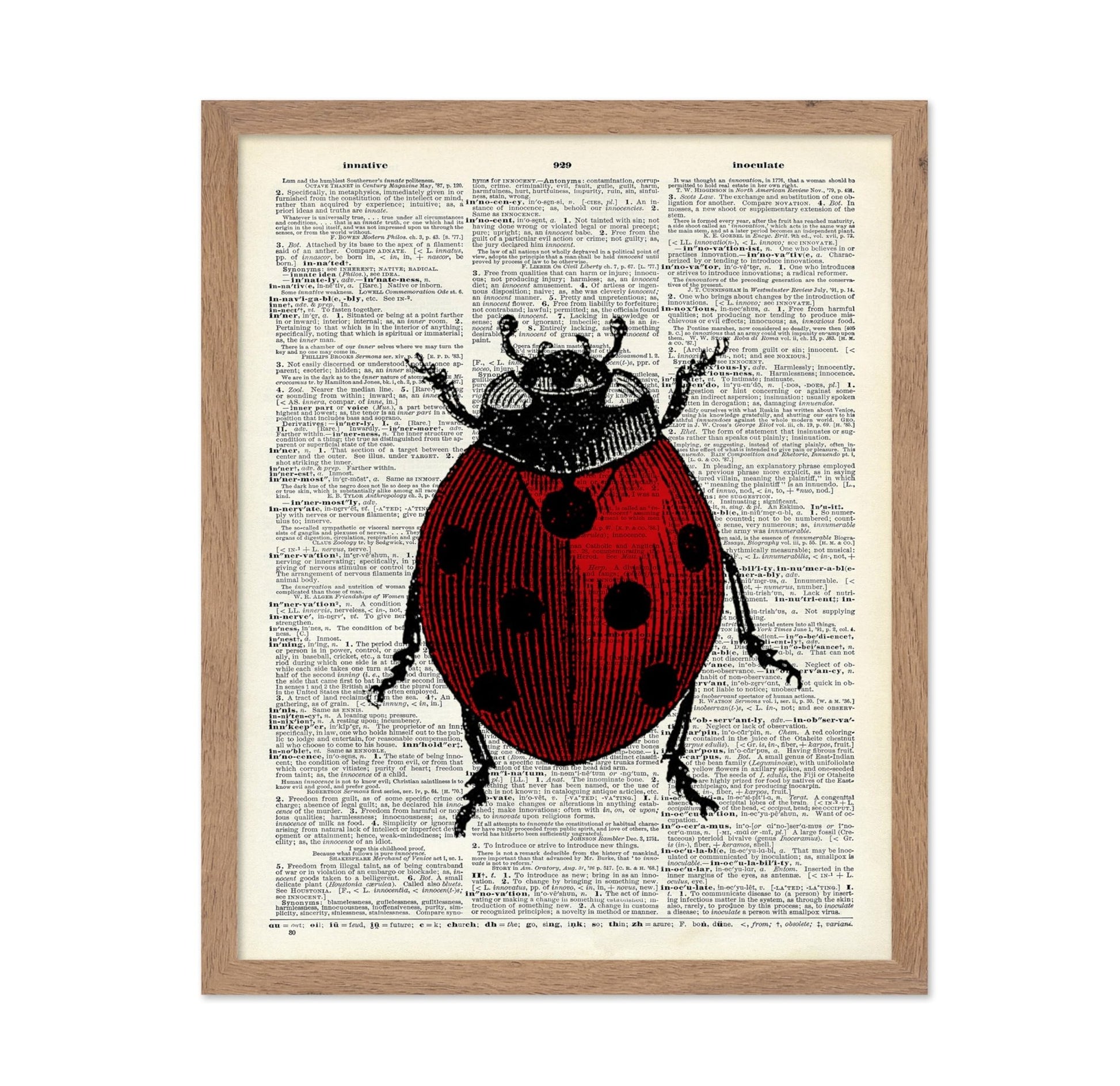 Ladybug