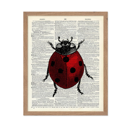 Ladybug