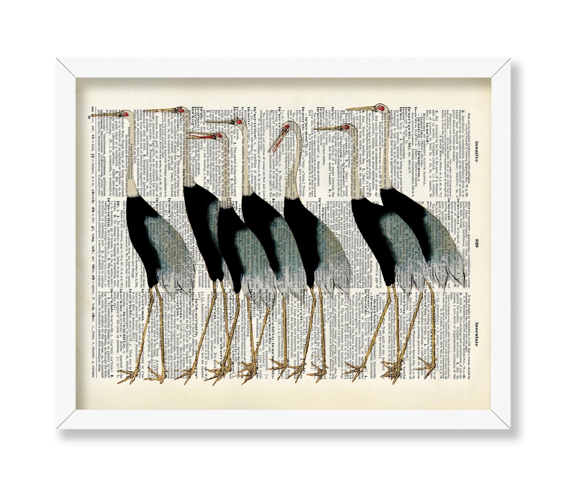Flock of Japanese Red Crown Crane