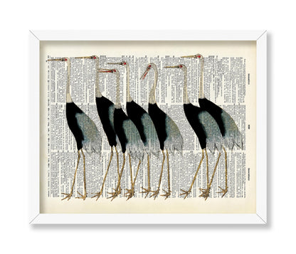 Flock of Japanese Red Crown Crane
