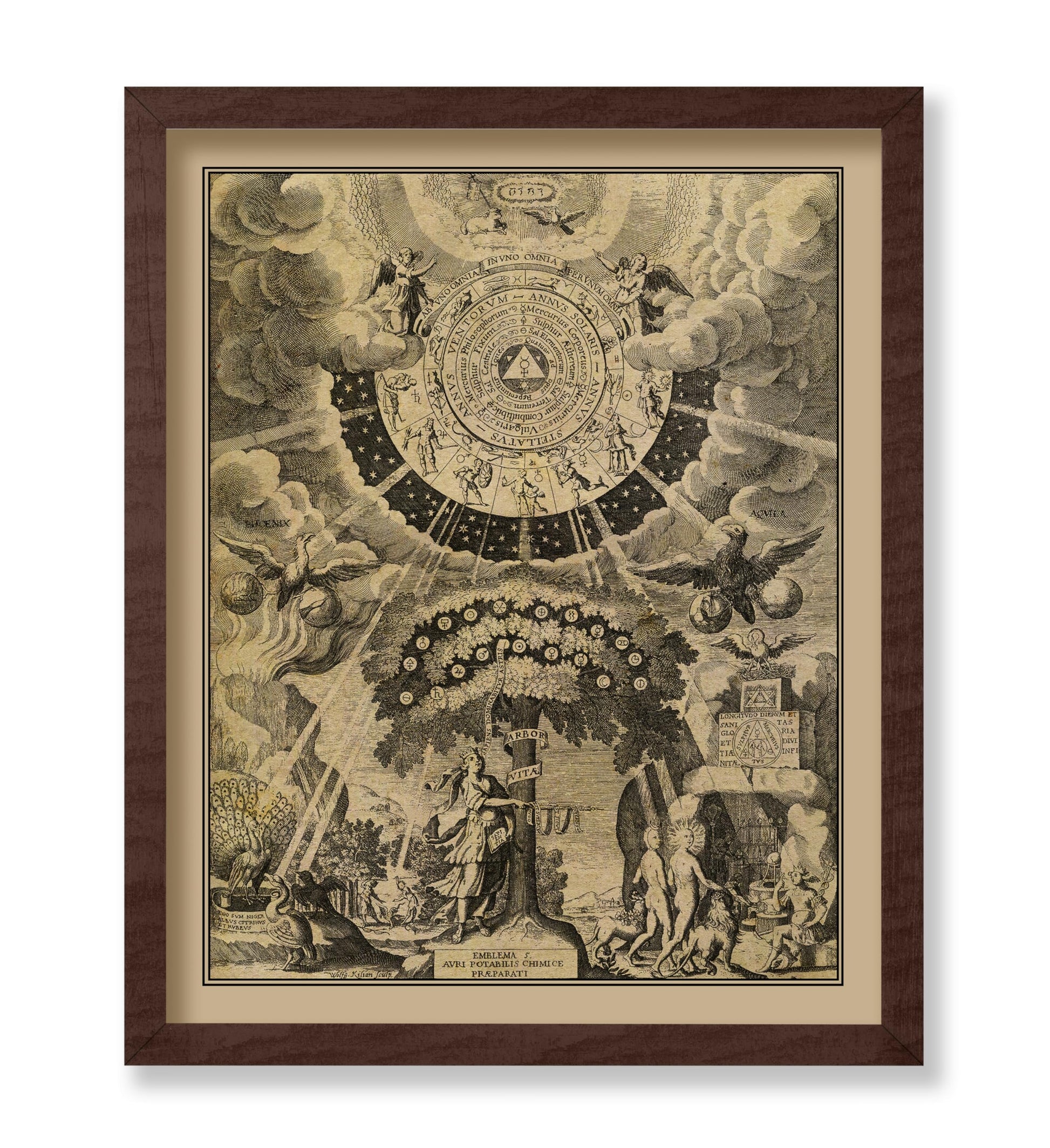The Alchemical Tree of Life