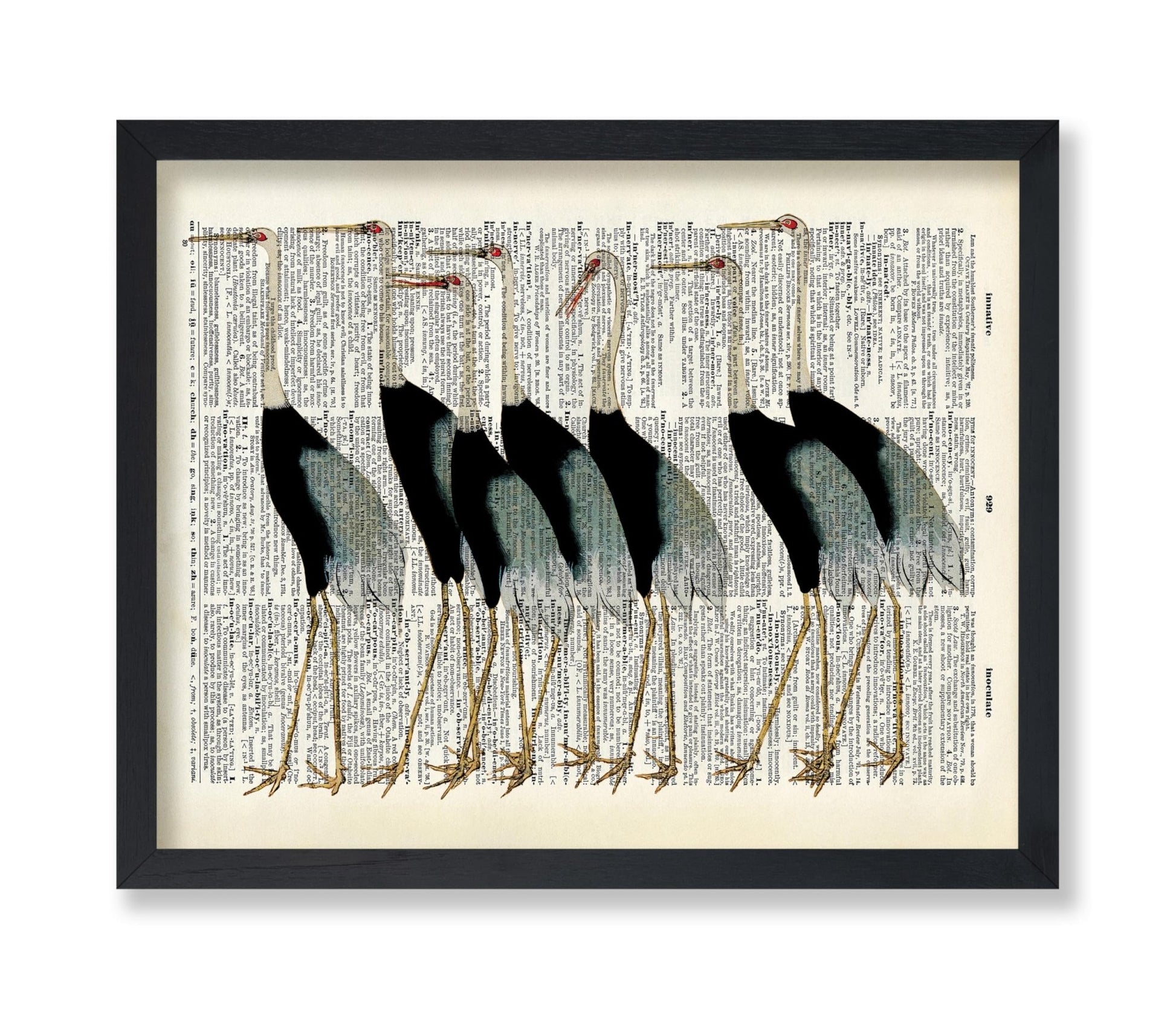 Flock of Japanese Red Crown Crane