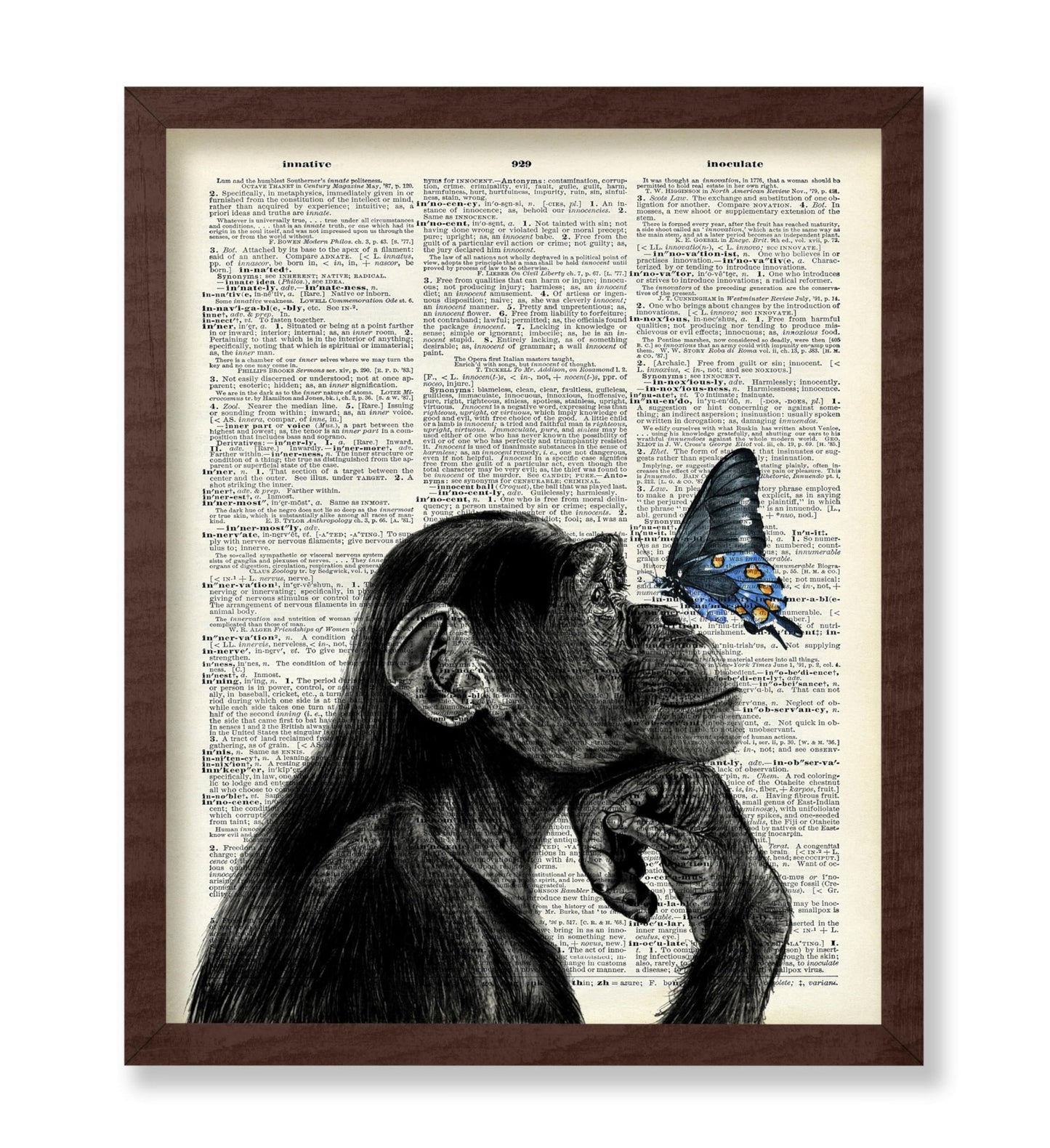 Monkey and Butterfly