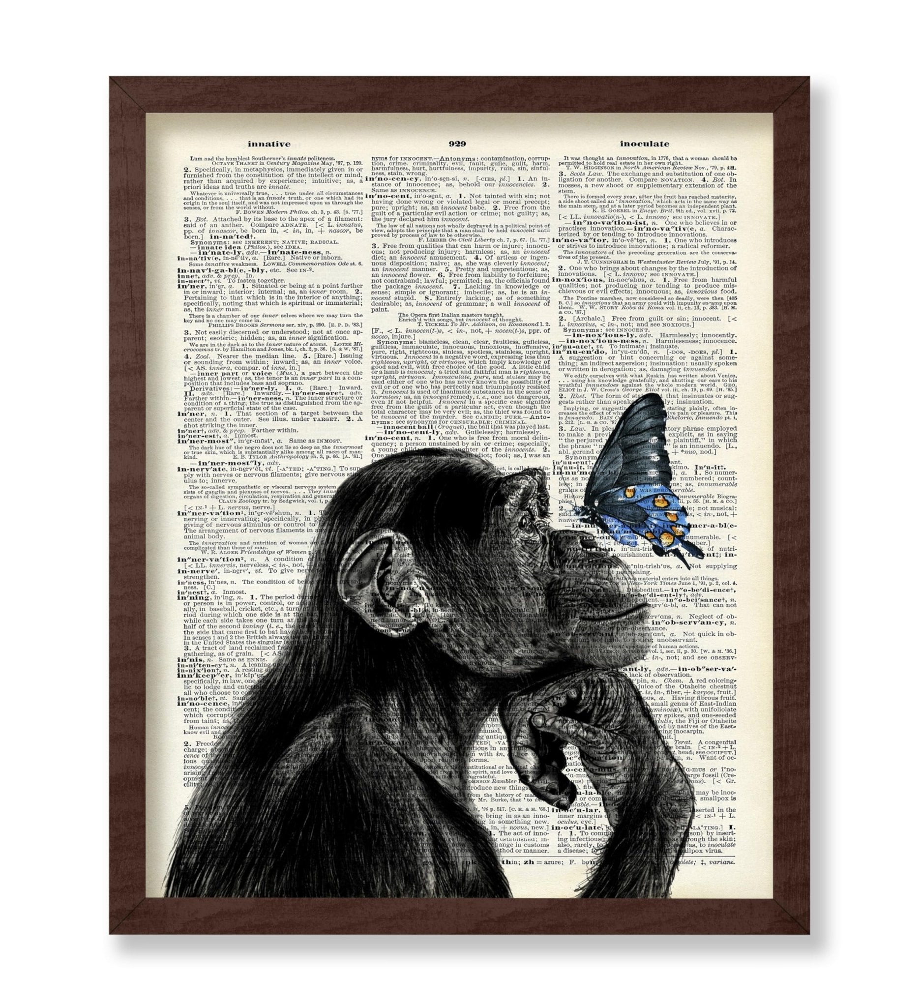 Monkey and Butterfly