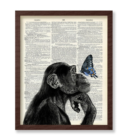 Monkey and Butterfly