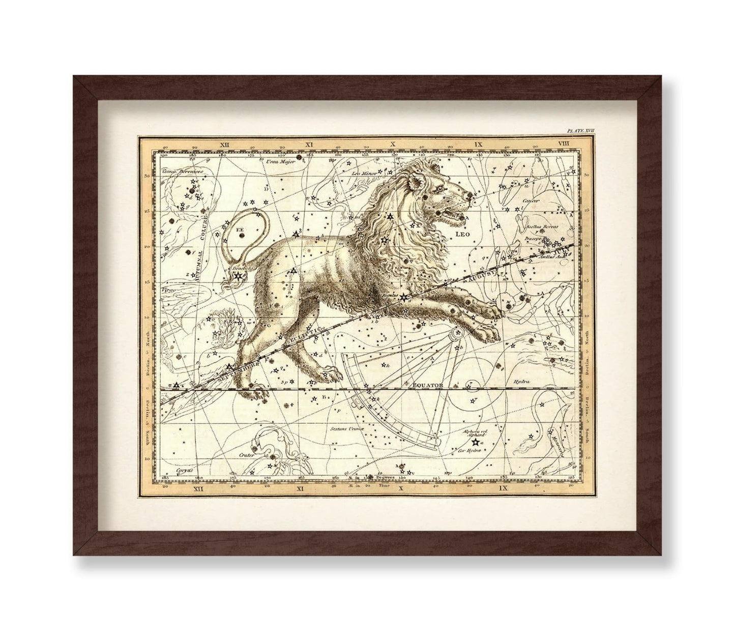 The Lion Zodiac Sign