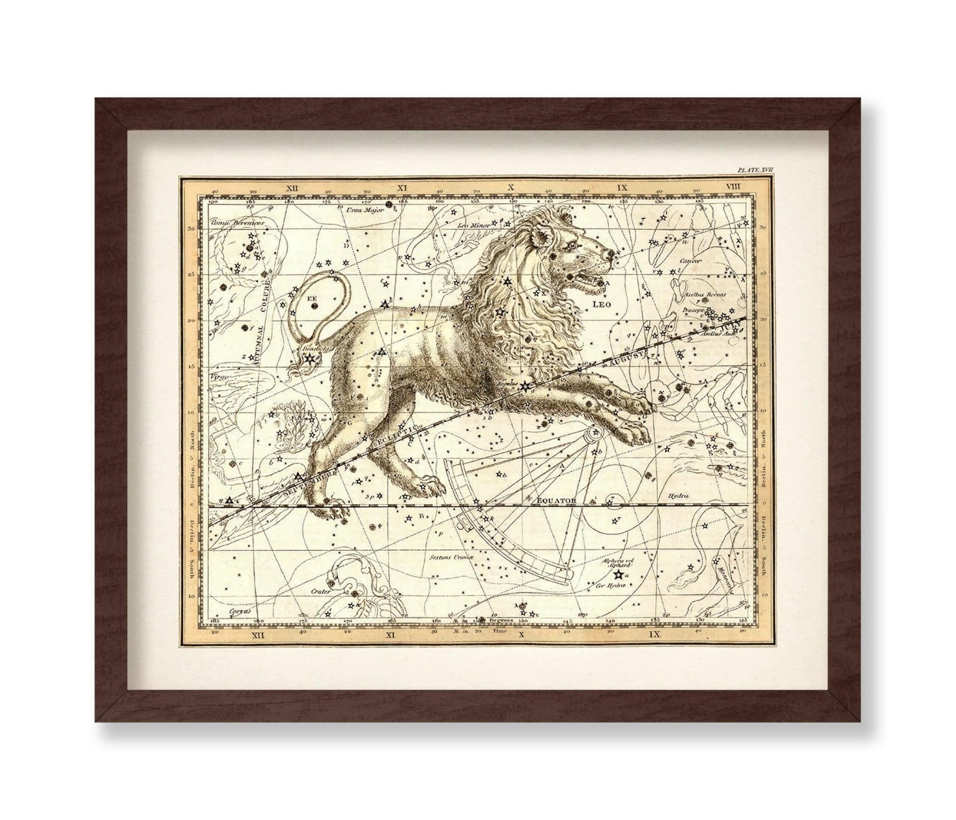 The Lion Zodiac Sign