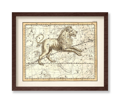 The Lion Zodiac Sign