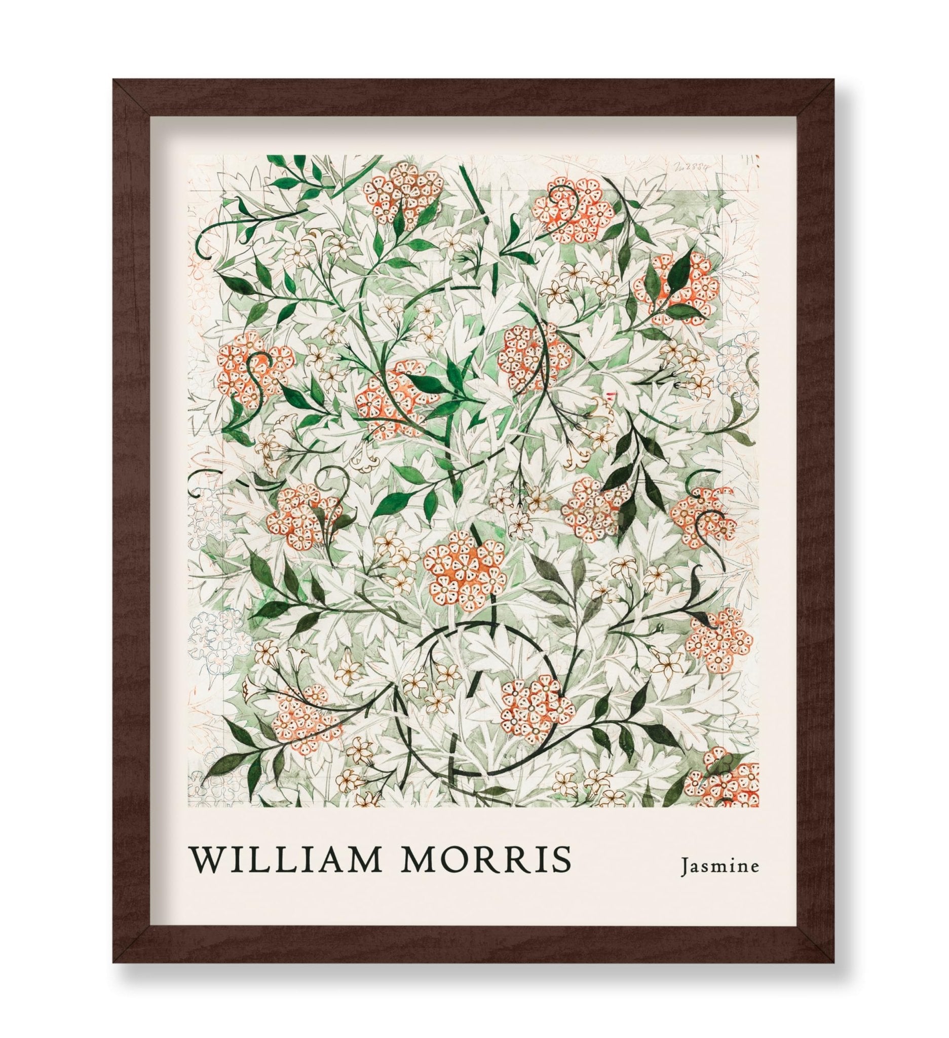 William Morris - Jasmine No1