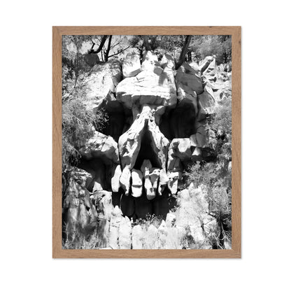 Skull Landscape