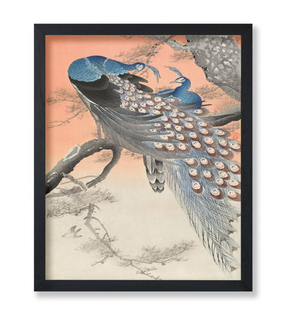 Ohara Koson - Two Peacocks No2