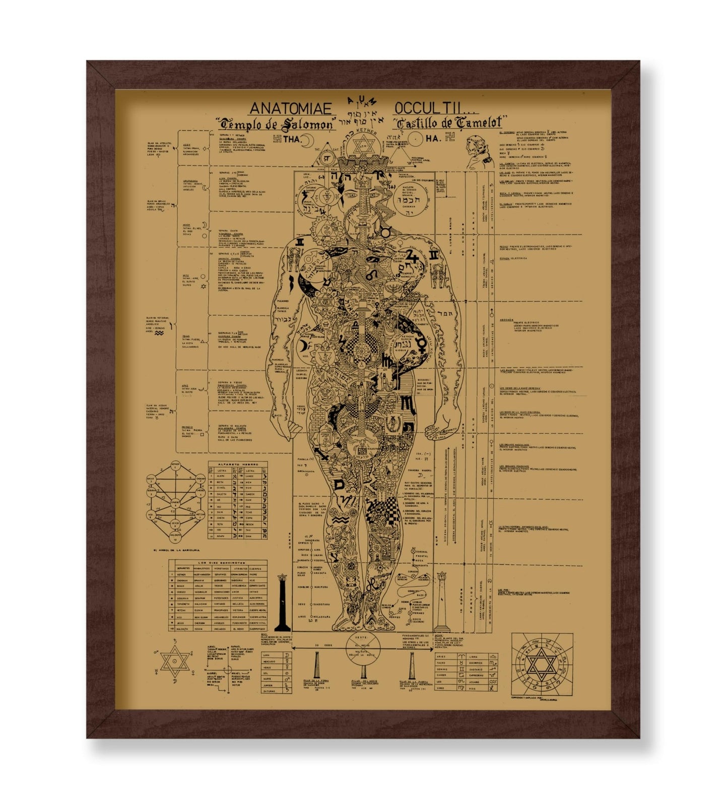 Occult Anatomy
