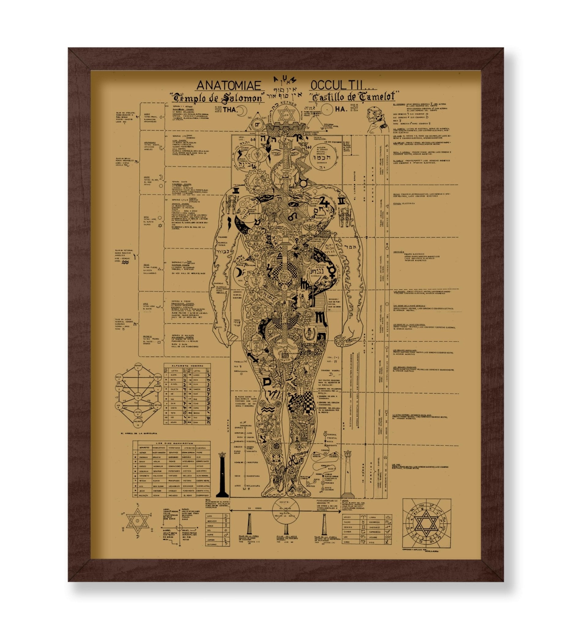 Occult Anatomy