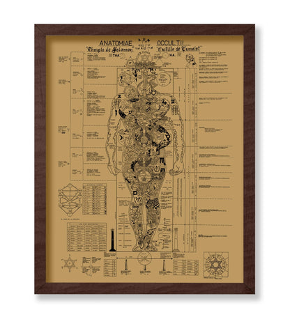 Occult Anatomy