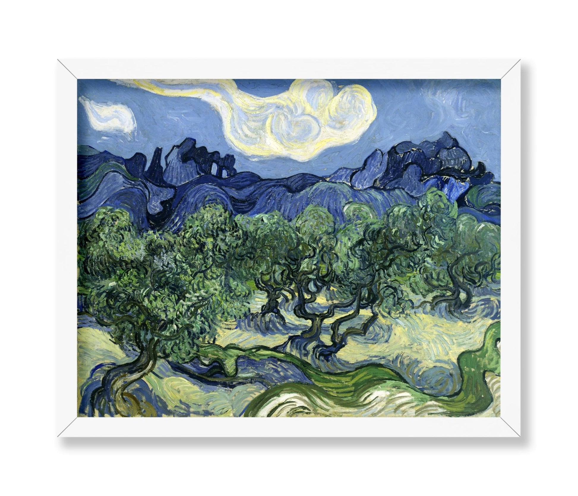 Van Gogh - Olive Trees