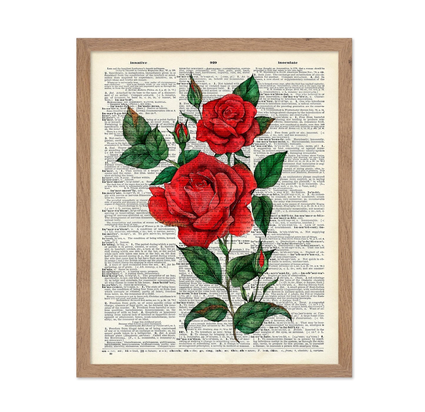 Red Rose