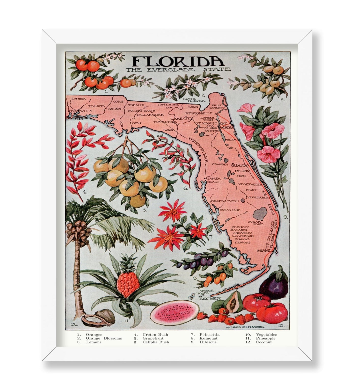 Florida - The Everglade State