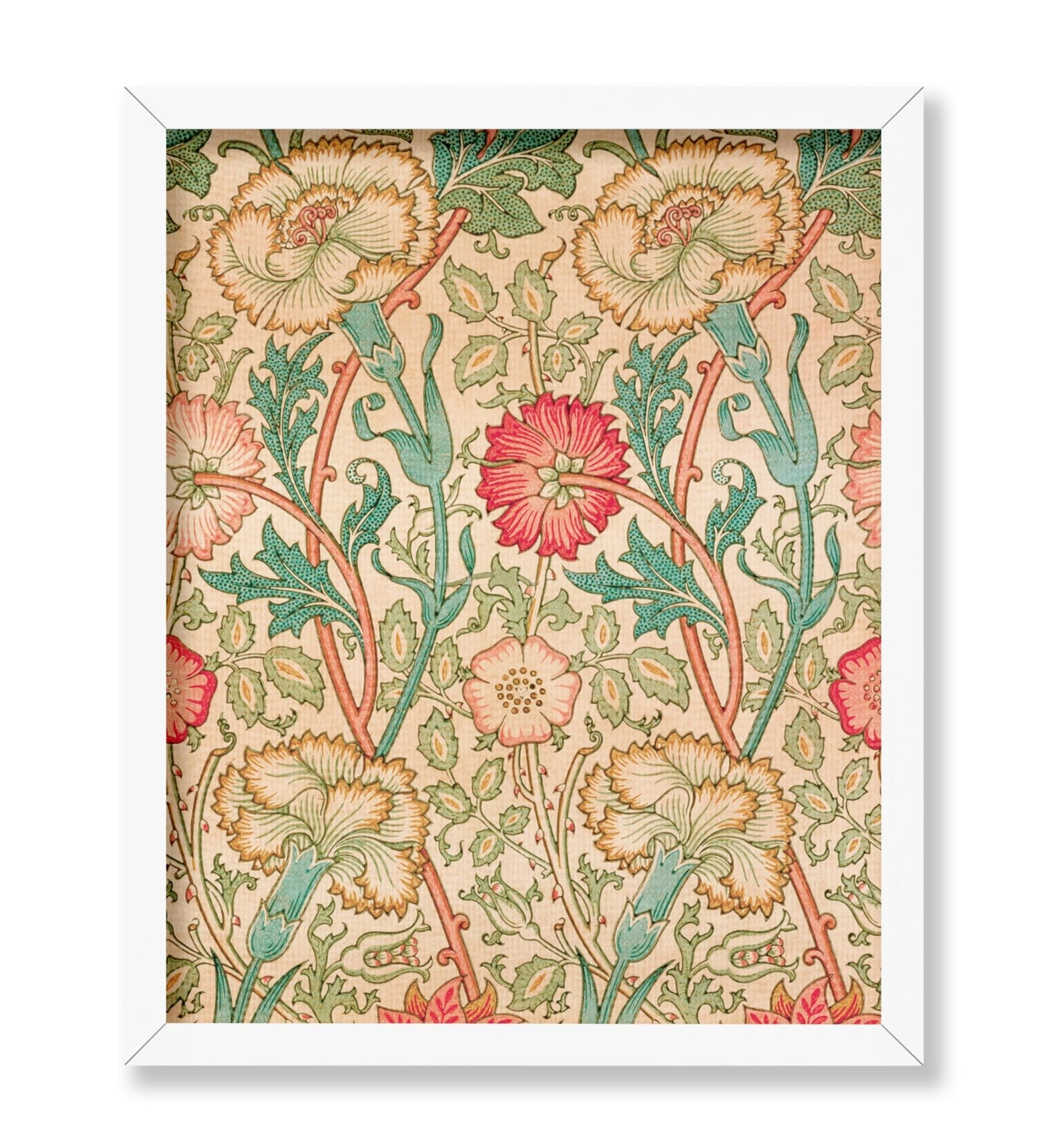 William Morris - Rose No4
