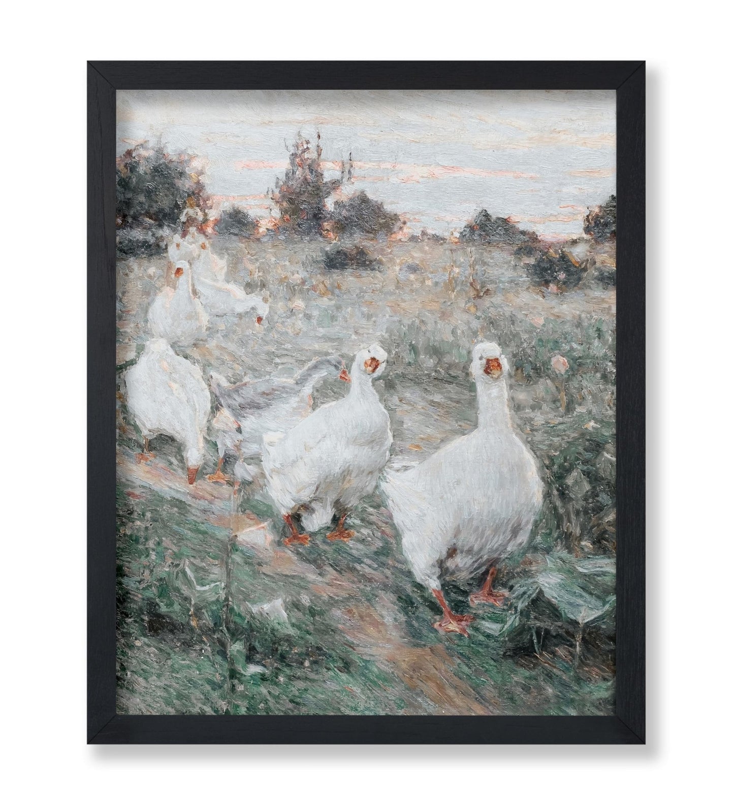Kyriak Kostandi - Geese
