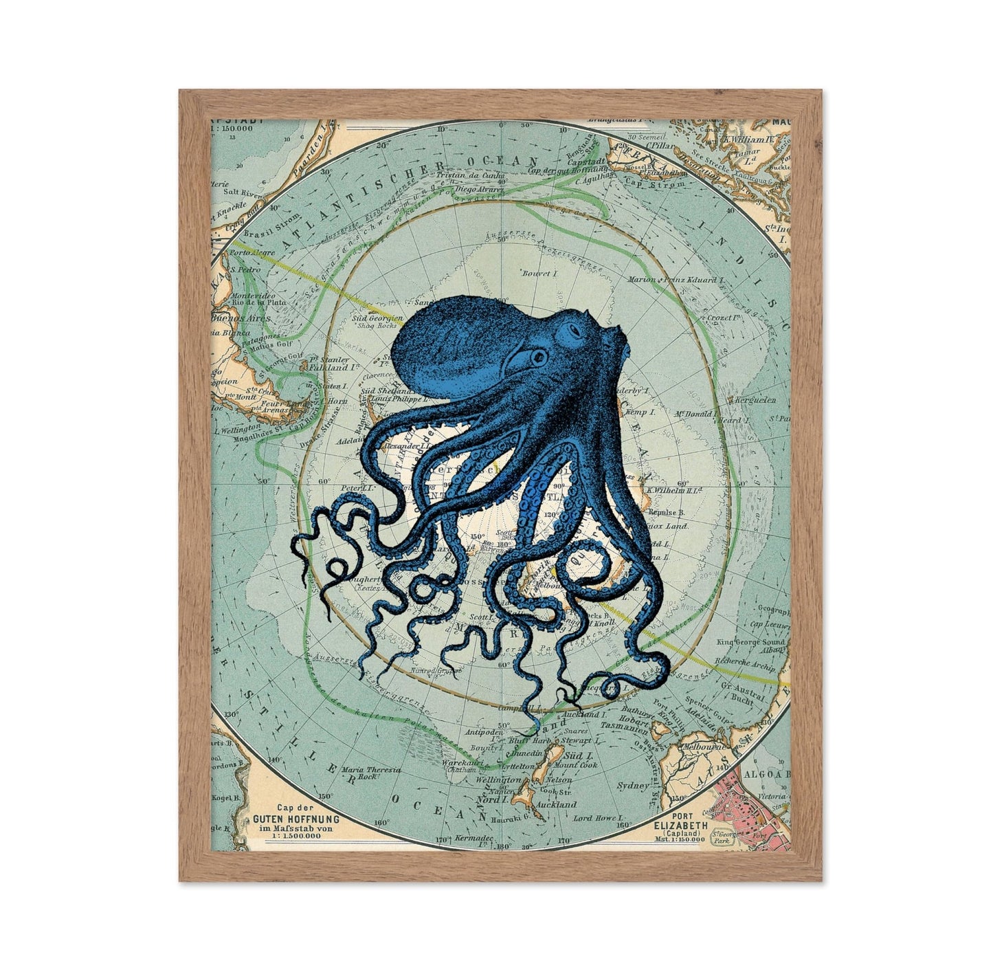 Antarctica Map and Blue Octopus