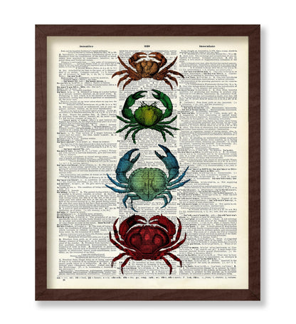 Crab Family