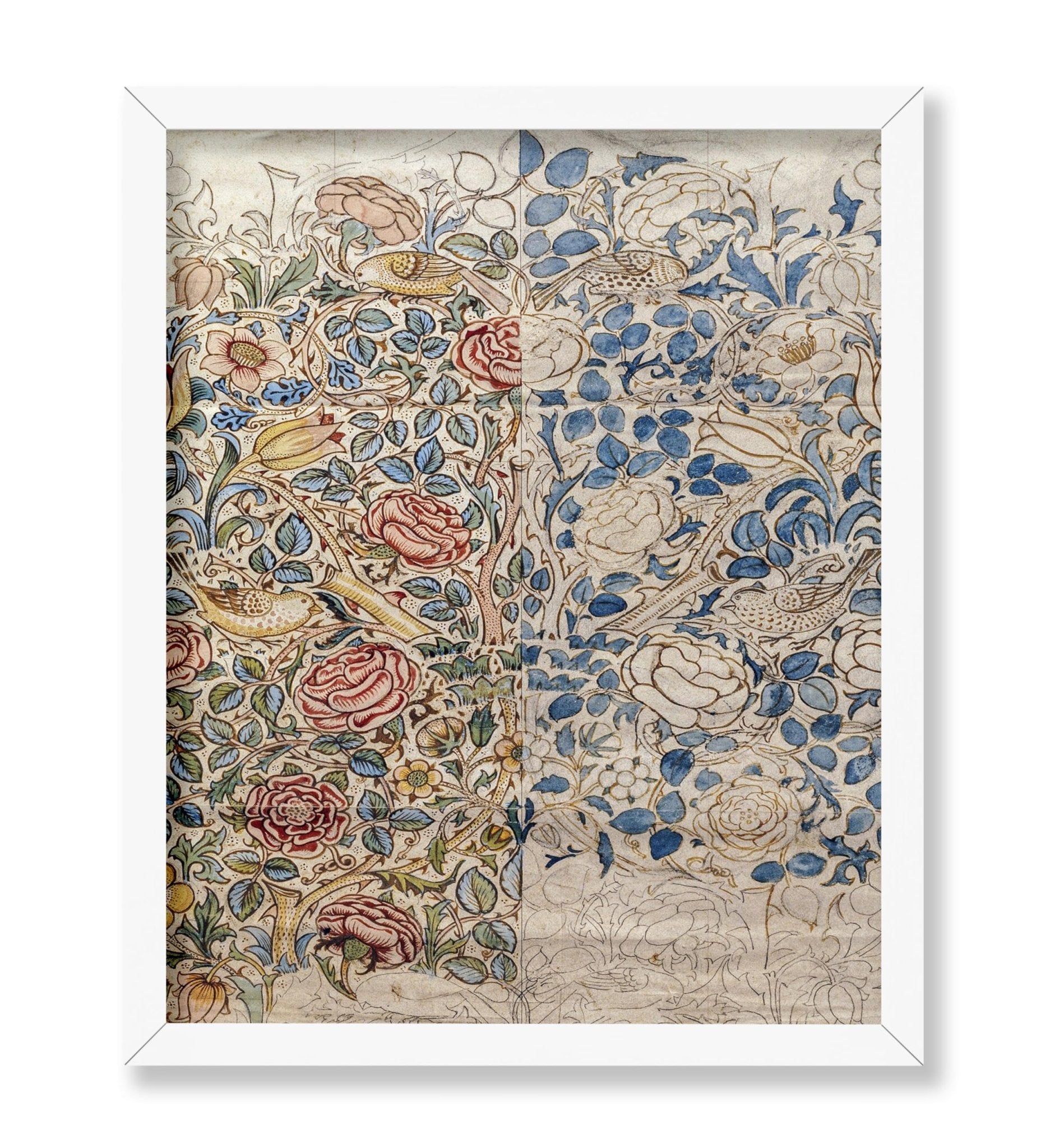 William Morris - Rose No1