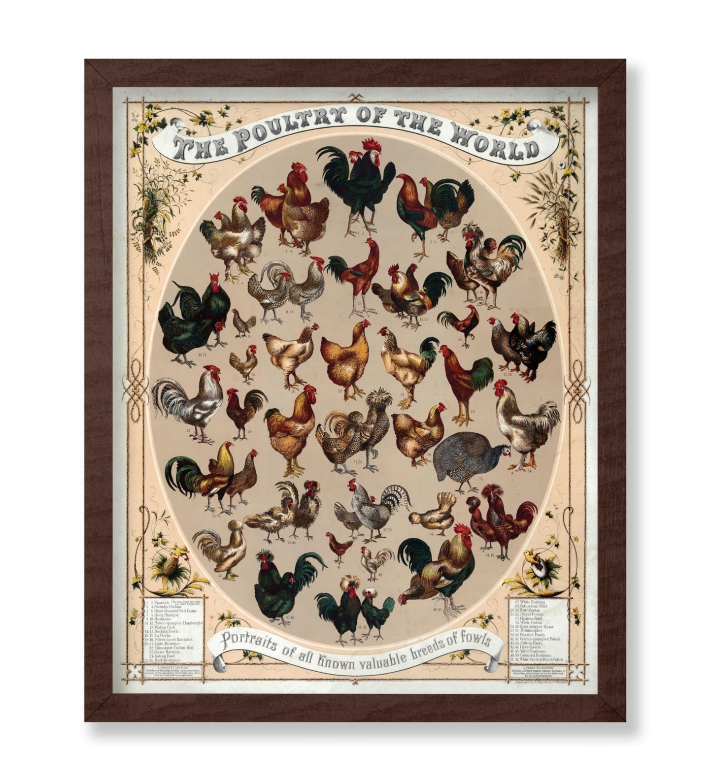 Poultry of the World
