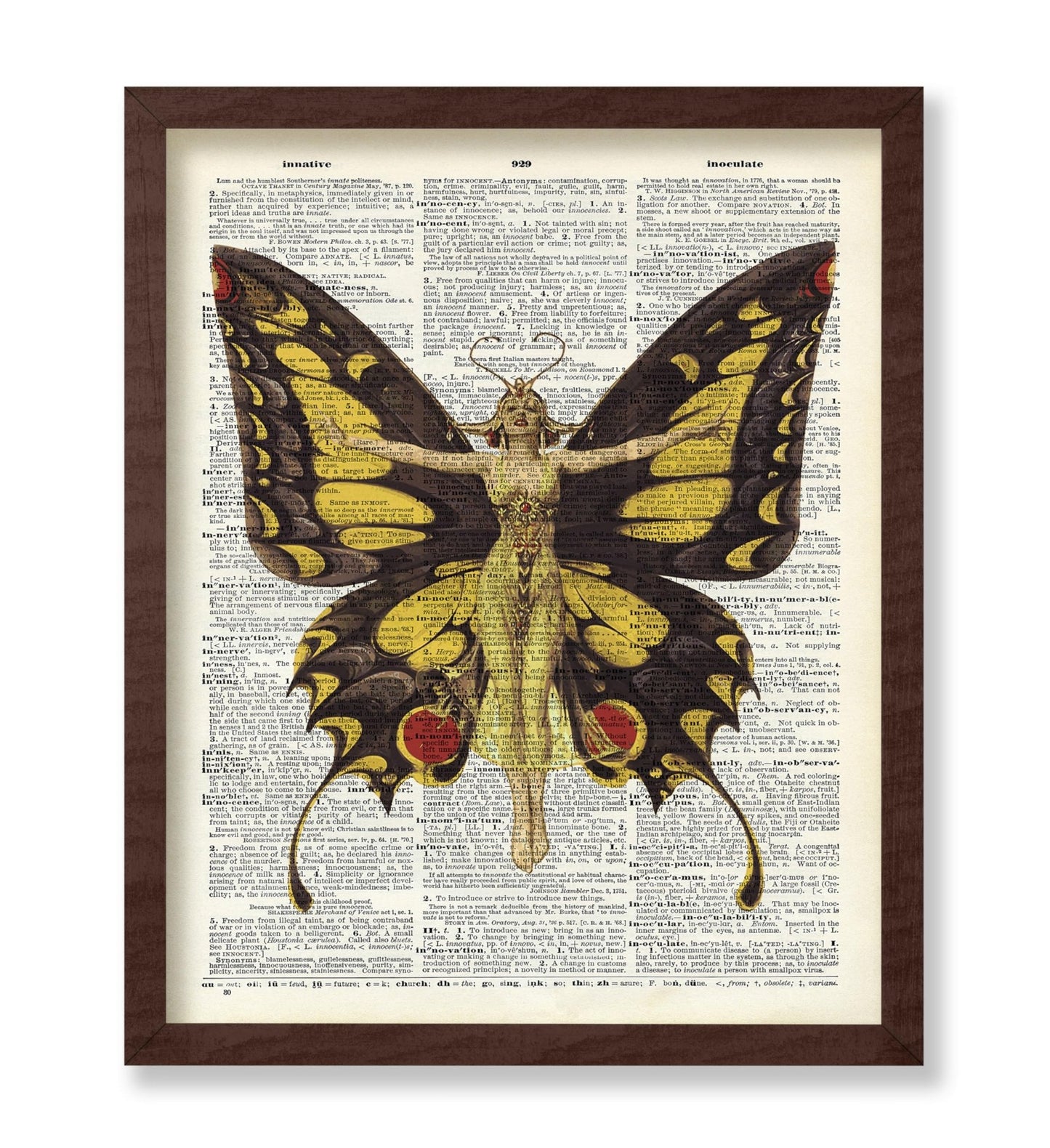 Queen of Butterflies