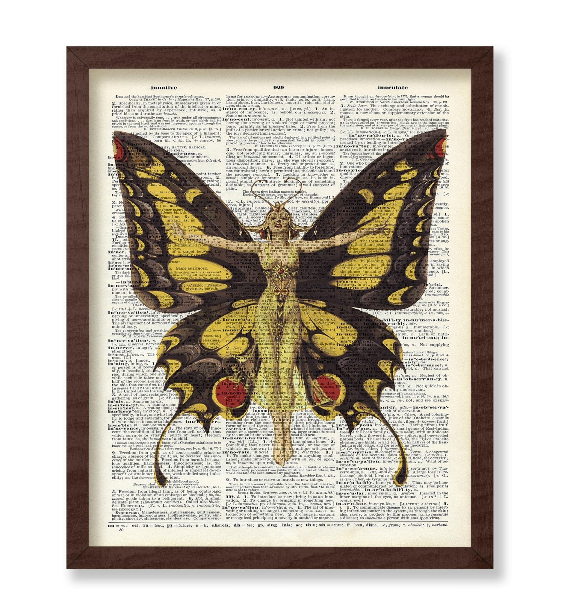 Queen of Butterflies