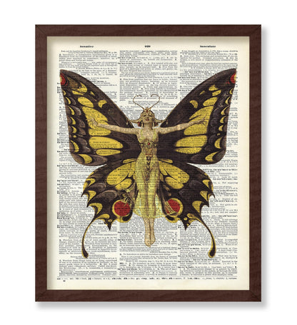 Queen of Butterflies