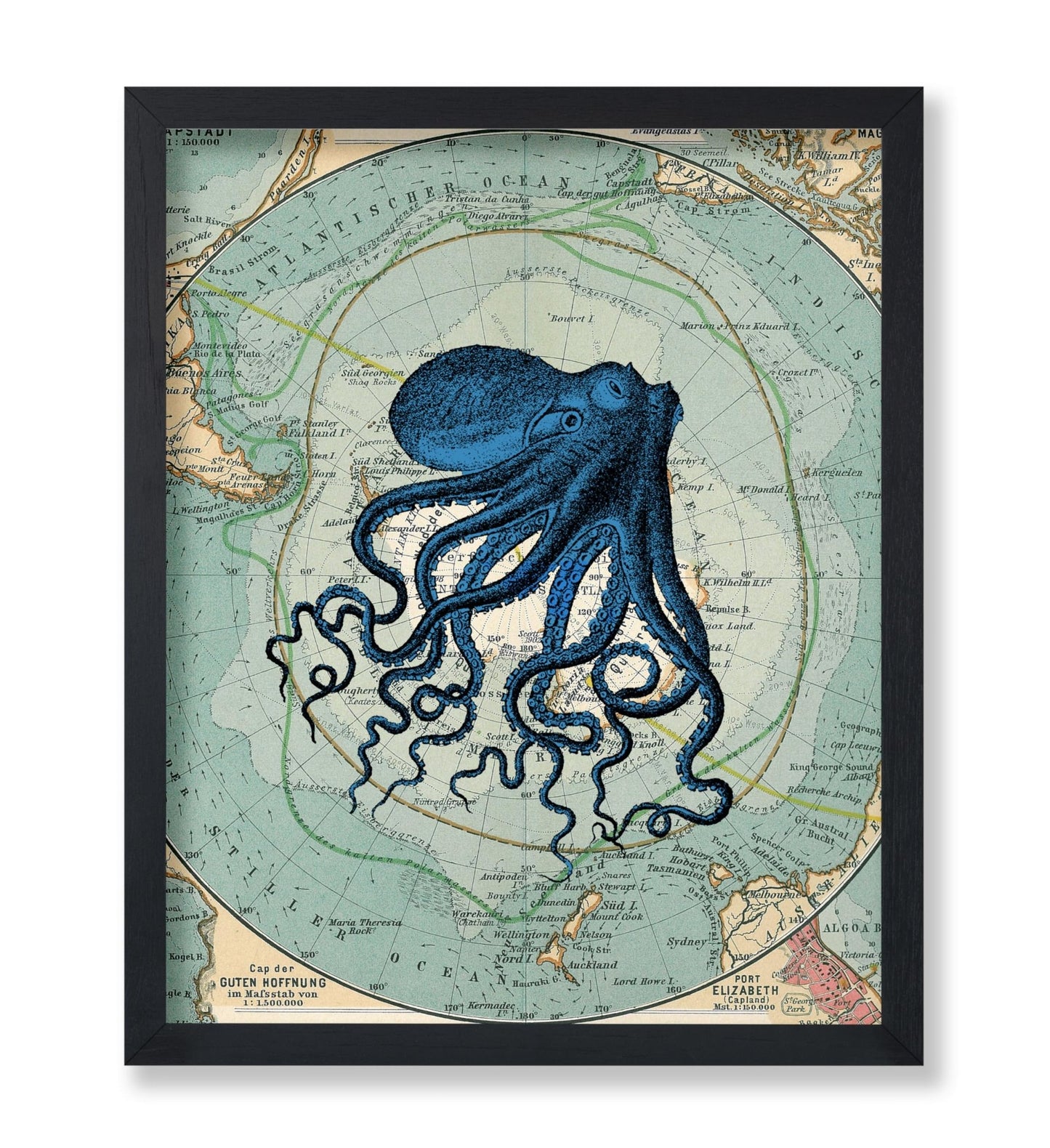 Antarctica Map and Blue Octopus