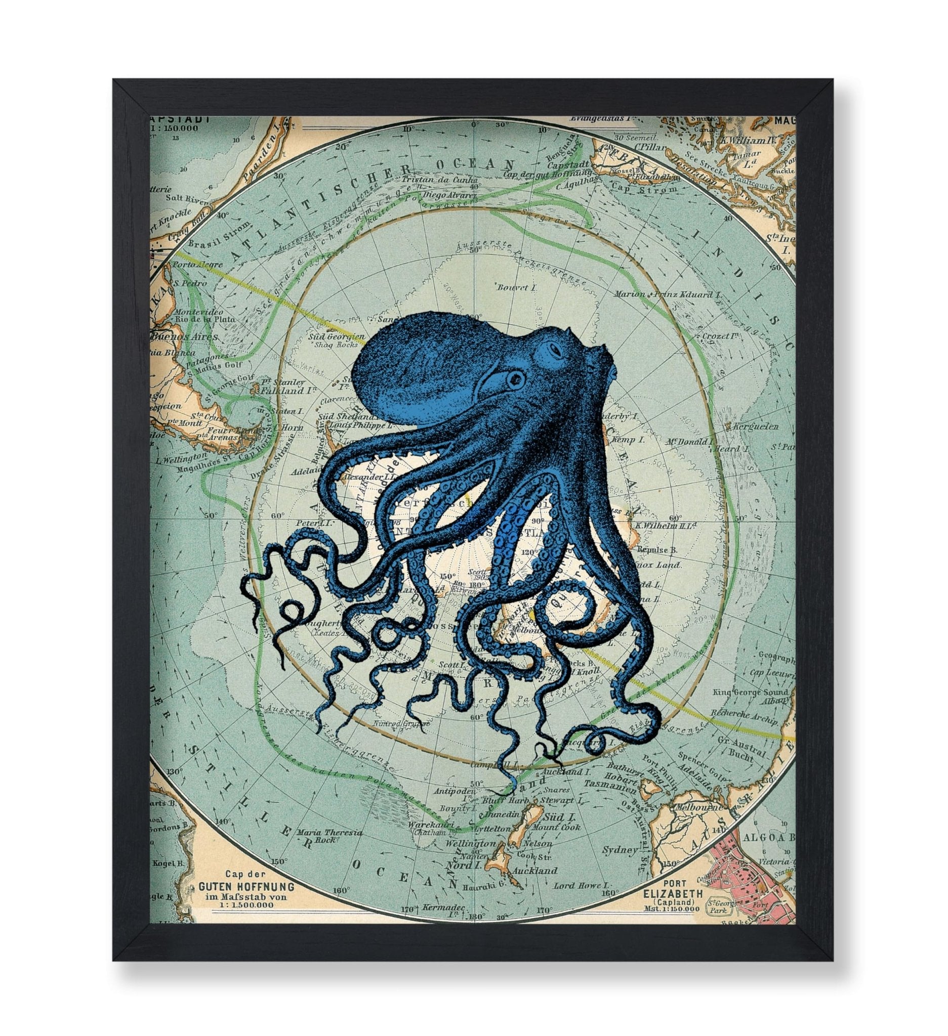 Antarctica Map and Blue Octopus